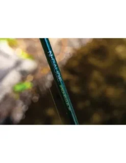 Guru N-Gauge Specimen Duel Tip 12"1.5LB